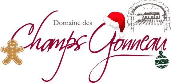 Logo Noël