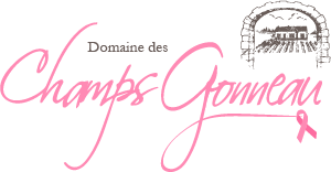 Logo Octobre Rose