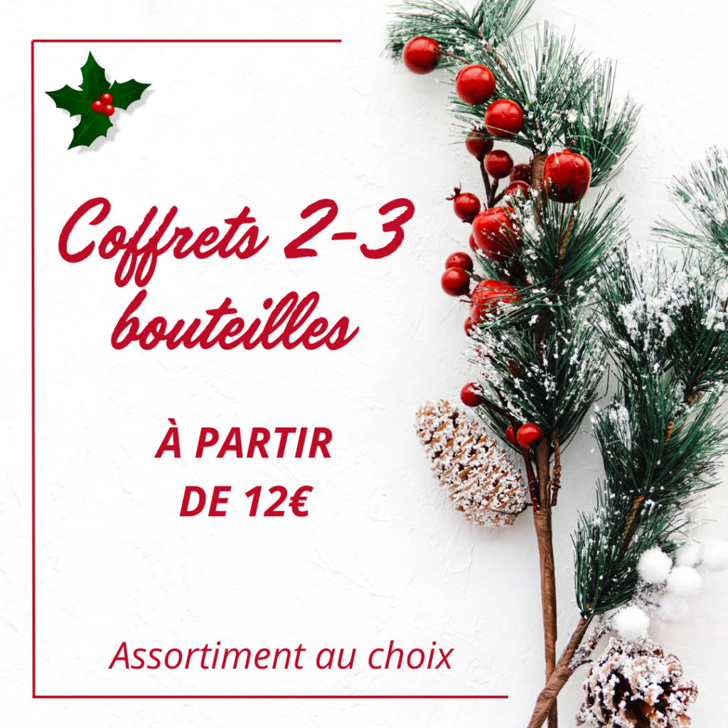 coffrets 2-3 bouteilles (1)