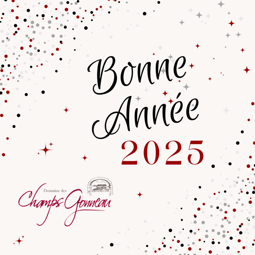 Bonne Année 2025