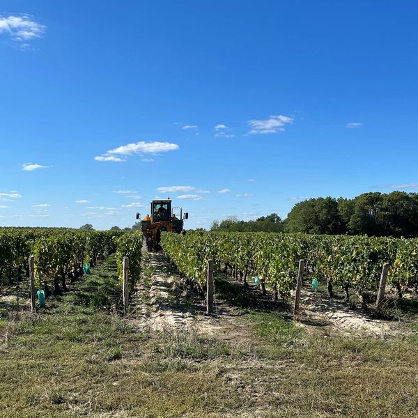 Machine à vendanger Grégoire