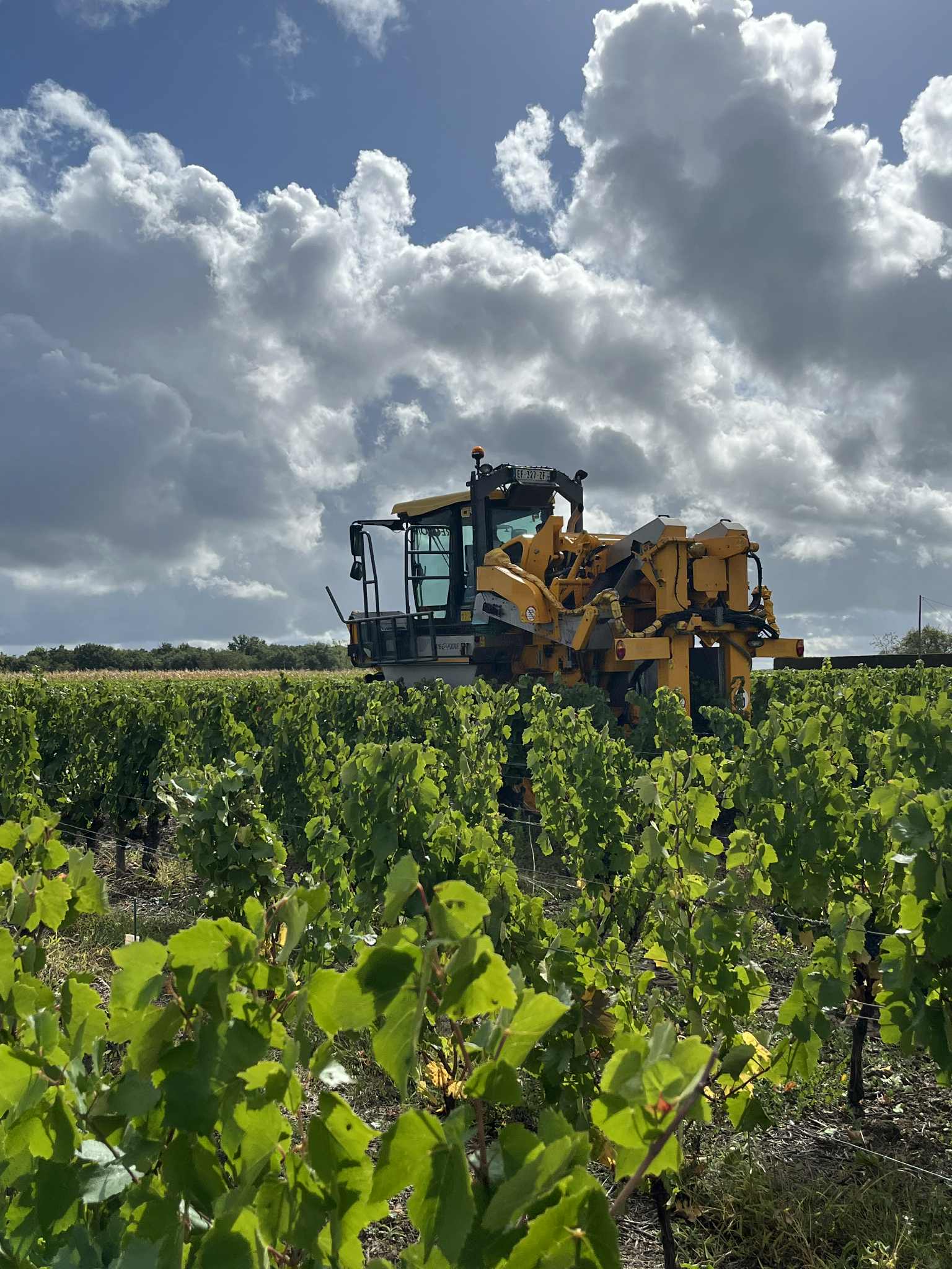 Machine à vendanger Grégoire