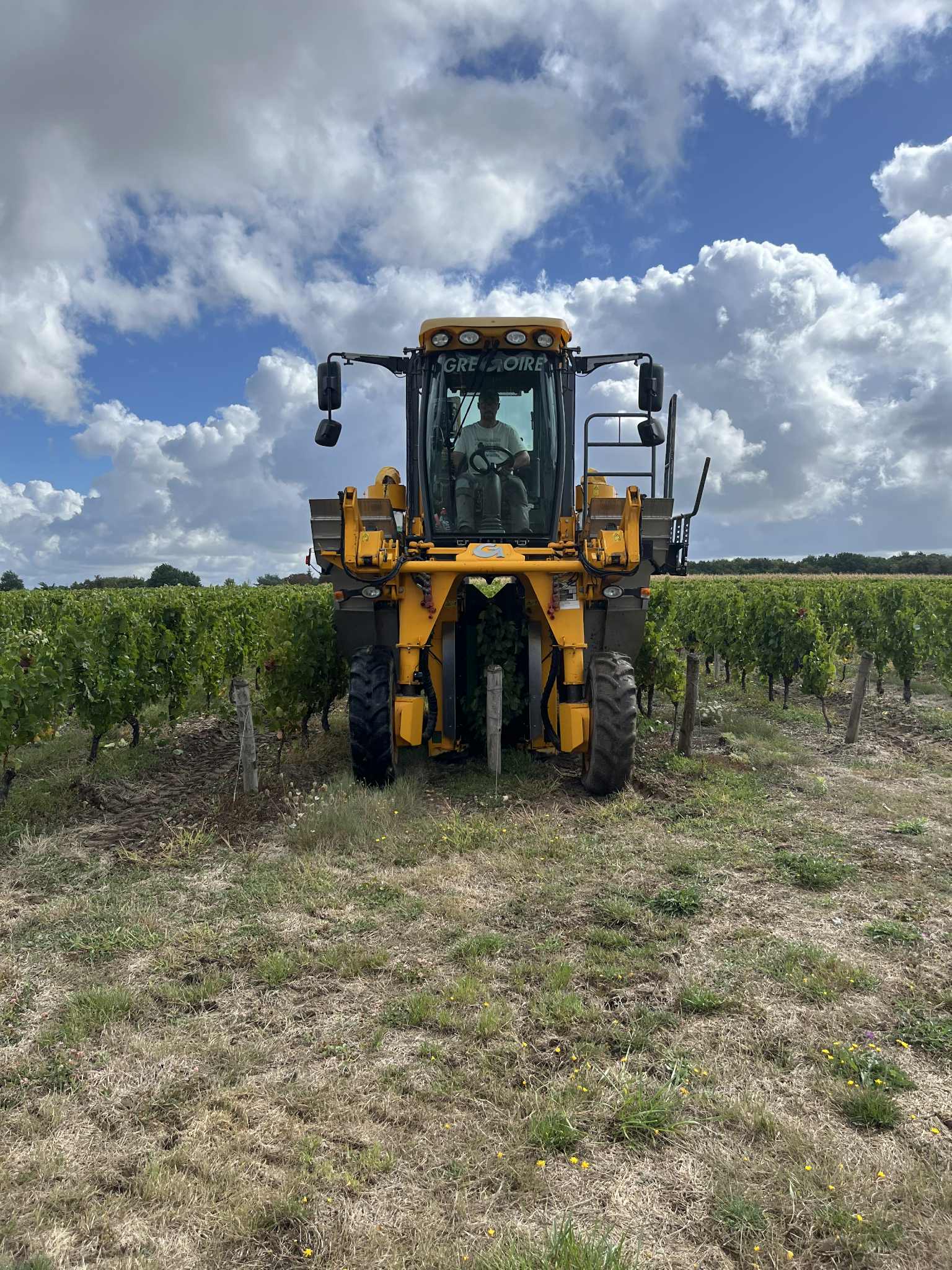 Machine à vendanger Grégoire