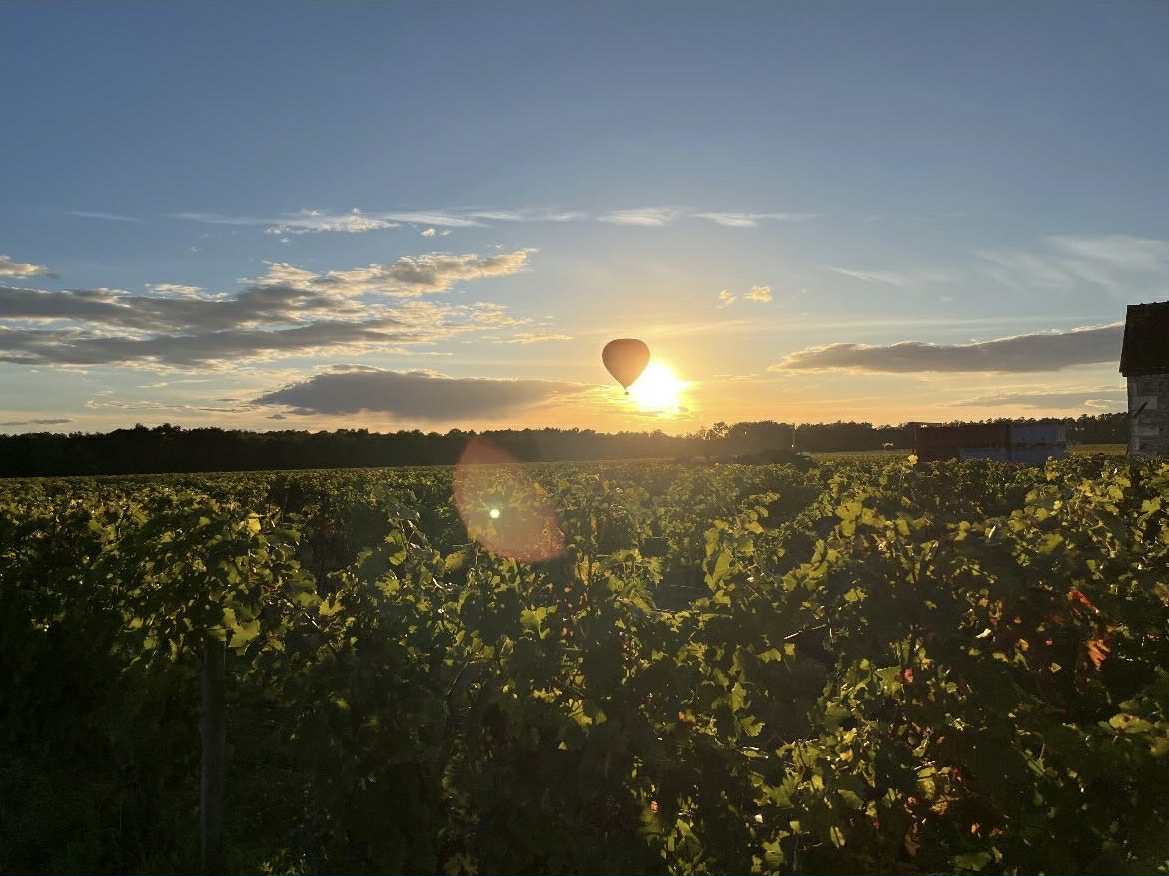 Couché de soleil montgolfière vignes