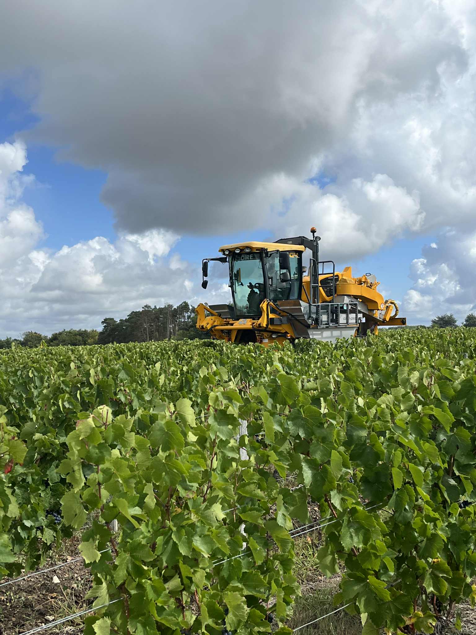 Machine à vendanger Grégoire