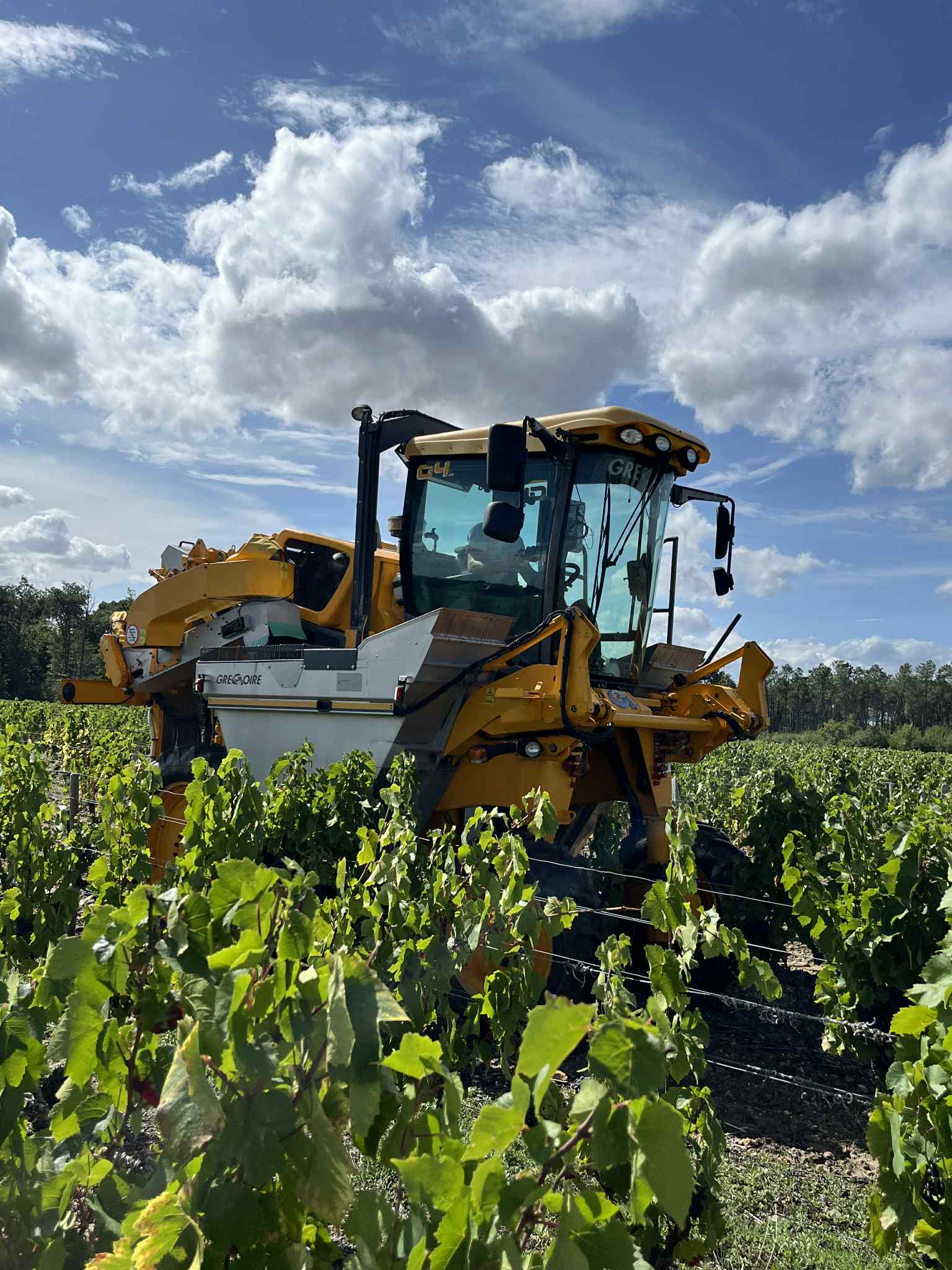 Machine à vendanger Grégoire