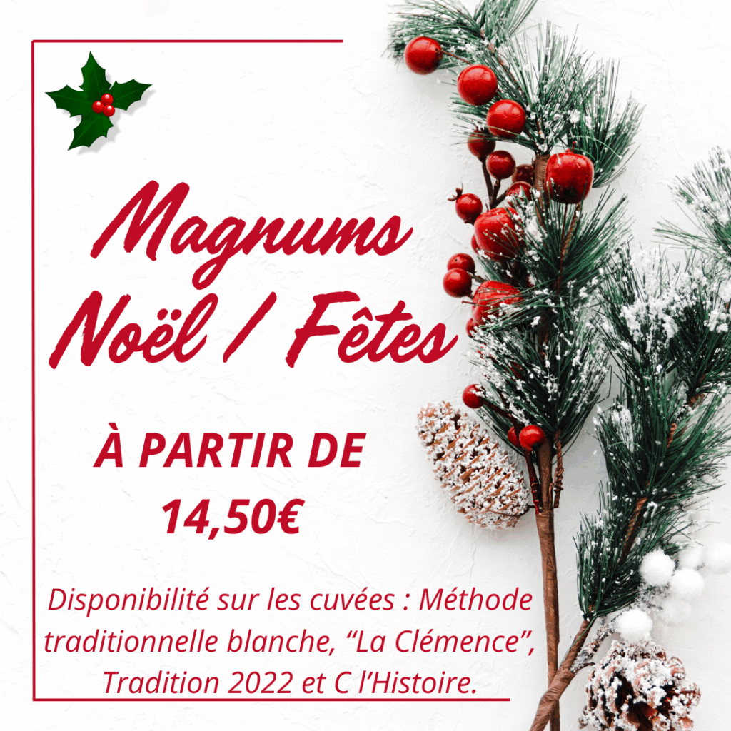 Magnums Noël
